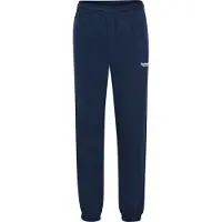 Hummel Sportbroek 'LEGACY 2.0' enziaan / wit