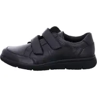 Solidus 64500-00091 hardy