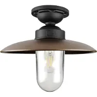 Ks Verlichting Solingen Plafondlamp Matzwart Brons
