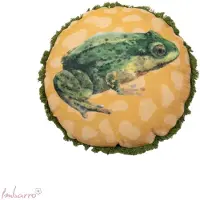 Imbarro Home & Fashion rond Velours kussen Green Frog 45 cm Groen met geel Uit de serie Lovely Botanics