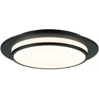 Paulmann 96785 Egron LED-plafondlamp LED Bajonet 16 W Zwart (mat)