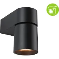 Paulmann LED buitenwandlamp Kimu, insectenwerend