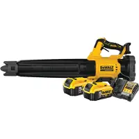 DeWalt DCMBL562N-XJ 5,0 Ah Accu (2x) Starterspakket