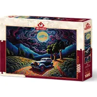 Art puzzle A Night in Transylvania Puzzel (1000 stukjes)