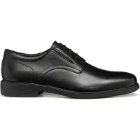 Geox Veterschoen 'U Dublin' zwart