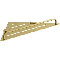 Hotbath &More BAA22 hoekplanchet geborsteld messing PVD