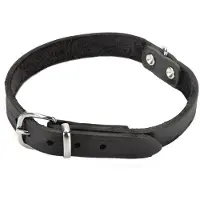 Beeztees Halsband Hond Leer