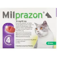 Milprazon Kat