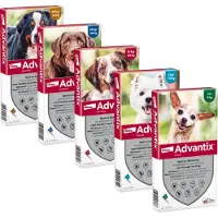 Advantix Spot On 40 Anti Vlooien en Teken Druppels Hond tot 4 kg 4 pipetten