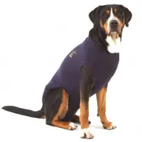 PADU Hond