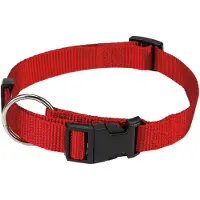 Beeztees Halsband Hond met Kliksluiting