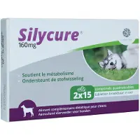 Fendigo Silycure