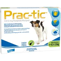 Prac-tic 137,5 mg Klein | 3 stuks