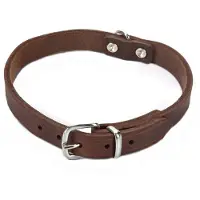 Beeztees - Halsband Hond - Leer - Bruin - 35,5-41,5 cm x 18 mm