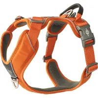 Dog Copenhagen Hondentuig Comfort Walk Pro Orange Sun Maat XS