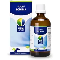 Puur Echina Paard/Pony
