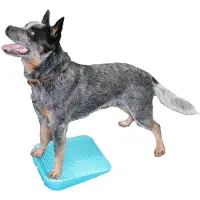 FitPAWS Balance Ramp