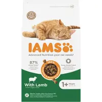 IAMS kattenvoer voor volwassen katten met lam 3 kg
