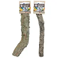 Back Zoo Nature Corky Perch