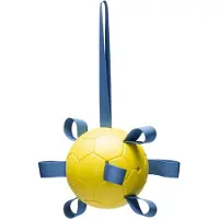 Beeztees Waterspeelgoed Hond Fetch D 13 H 13 Cm