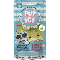 Pup Ice Hondenijs Lolly Appel