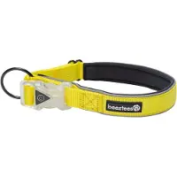 Beeztees Safety Gear Parinca Premium Halsband