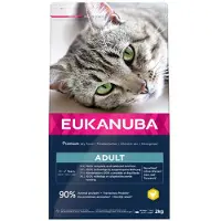 Eukanuba Cat Top Condition 1+