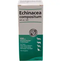 Heel Echinacea Compositum