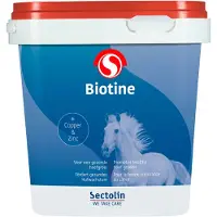 Sectolin Equivital Biotine