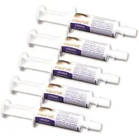 EquipurVetripharm Equipur Vitalyt