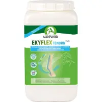 Audevard Ekyflex Tendon EVO