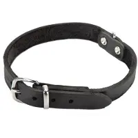 Beeztees Halsband Hond Leer