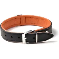 Karlie Rondo Riveted Hondenhalsband