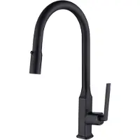 EcoRain 30% Waterbesparende Keukenkraan Lucas met Uittrekbare Loop van RVS 304 en Messing - Universele Aansluiting - Anti-Kras Coating - Behoud Waterdruk - 5 Jaar Garantie - Zwart
