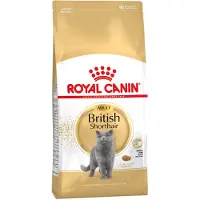 Royal Canin Kitten British Shorthair