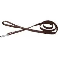 Beeztees - Hondenriem - Geniet - Bruin - 130x20 cm
