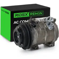 RIDEX 447K0196R Aircopomp