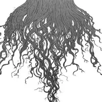 Konkurrent Meursault - Crow Hill (CD)