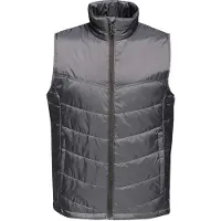 Regatta Heren Fase II Geïsoleerde Bodywarmer (Afdichting Grijs)
