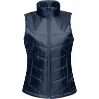 Regatta Vrouwen/dames Fasegeïsoleerde Bodywarmer (Marineblauw)