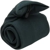 Premier Unisex Volwassen Clip-On Stropdas (Fles)