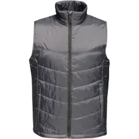 Regatta Heren Fase II Geïsoleerde Bodywarmer (Afdichting Grijs)