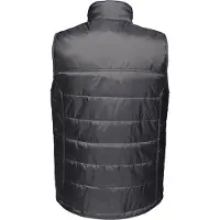 Regatta Heren Fase II Geïsoleerde Bodywarmer (Zwart)