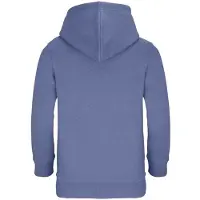 Sols Kinderen/Kinderen Connor Hoodie (Blauw)