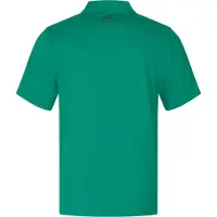 Under Armour Heren T2G Poloshirt (Klassiek Groen)
