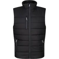 Regatta Professional Thermische bodywarmer voor heren (Zwart/Seal Grijs)