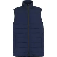 Regatta Professional Thermische bodywarmer voor heren (Marine)