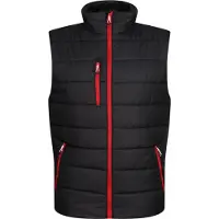 Regatta Thermische bodywarmer Navigate voor heren (Zwart/Klassiek Rood)
