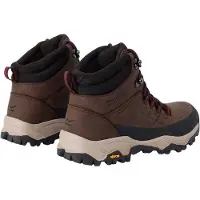 Regatta Dames/Dames Blake Wandelschoenen (Bruin)