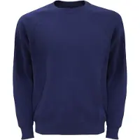 Fruit Of The Loom Heren Raglan Mouwen Belcoro Sweatshirt (Donker Marine)